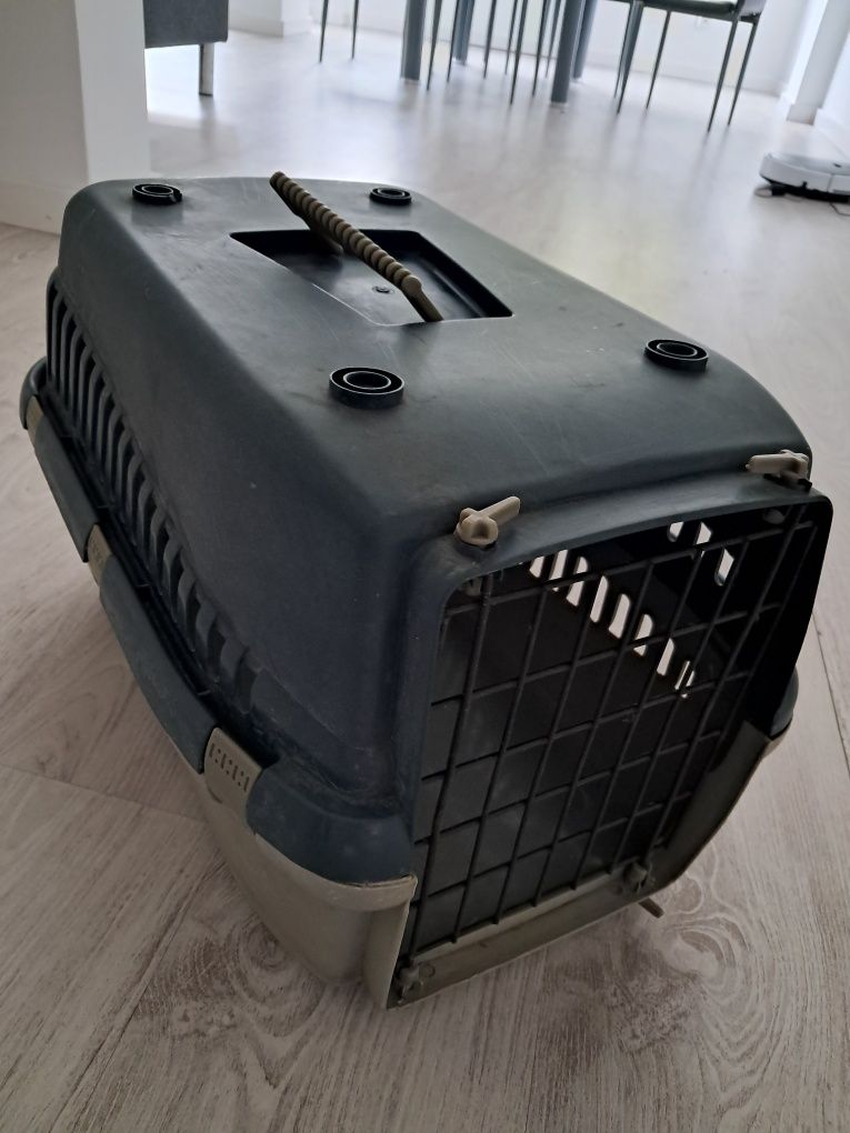 Casa transporte gatos