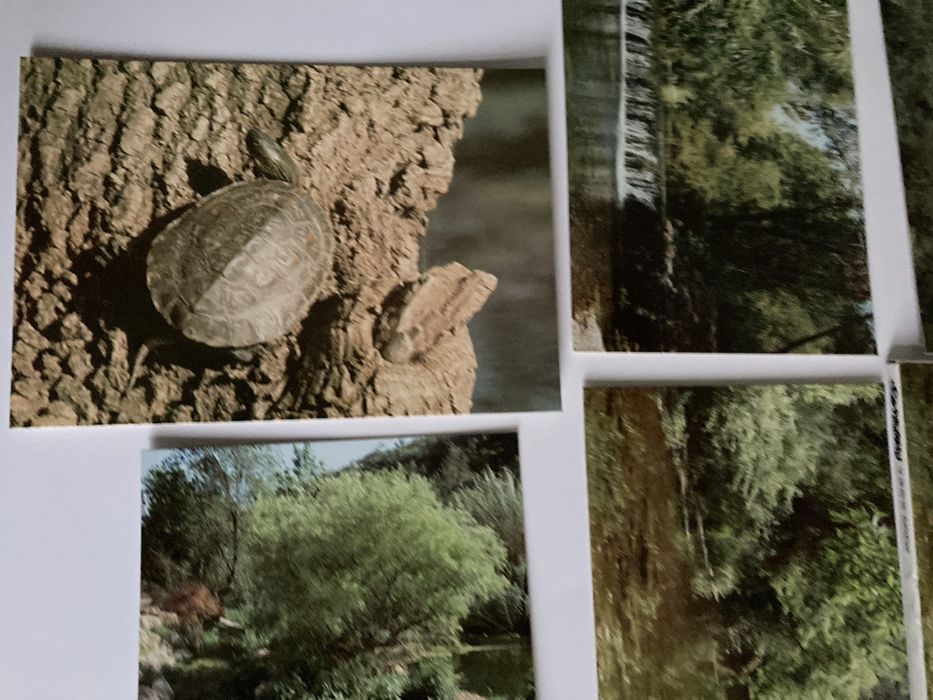 Postais: Sítio Classificado da Fonte Benémola -Loulé