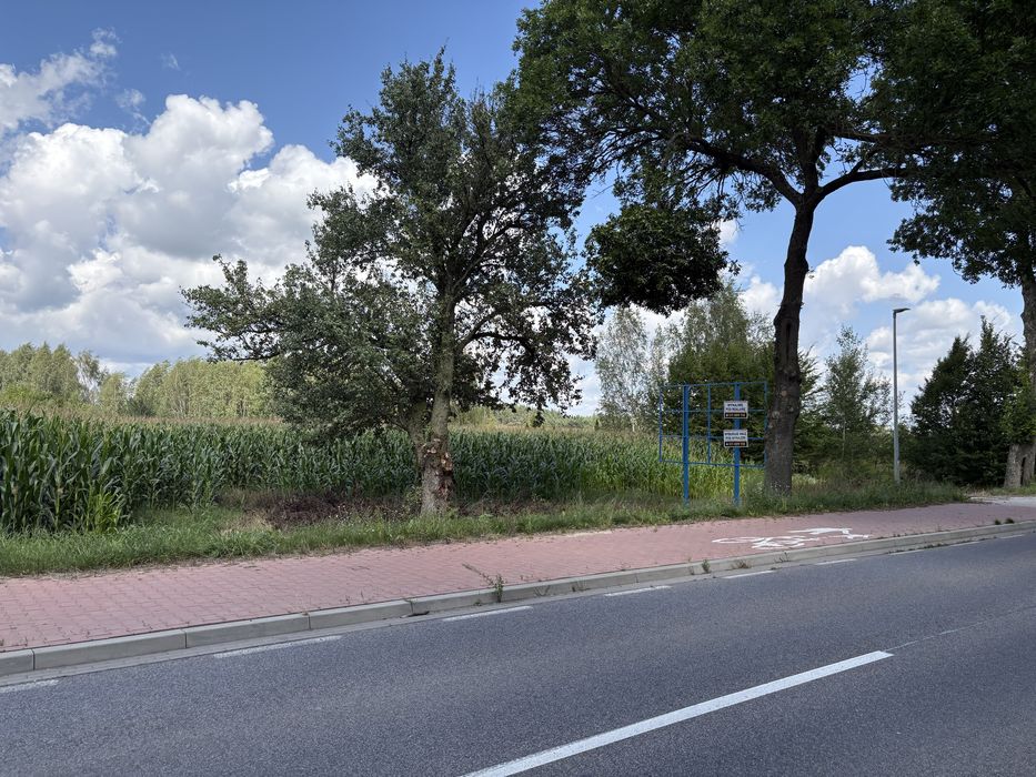 Działka pole Pruszyn przy trasie Siedlce Łosice