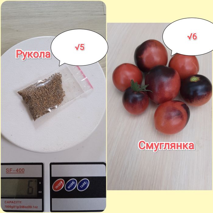 Семена помидор,перец,тыква,дыня,рукола