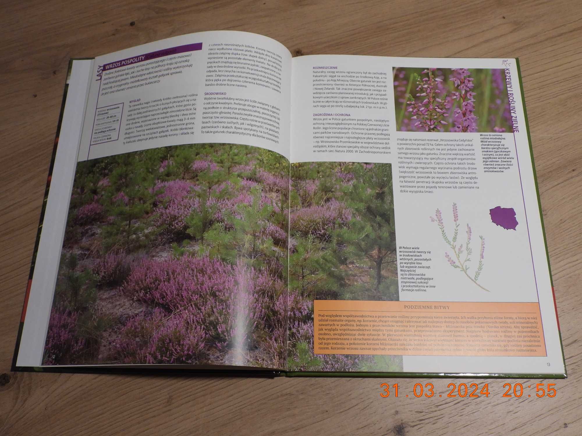 Encyklopedia Przyrody - Tom 16 - Rośliny -krzewy i rośliny zielne cz.1