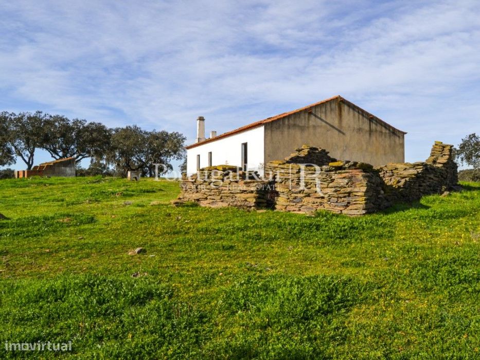 Herdade de 60 ha e monte, em Reguengos de Monsaraz