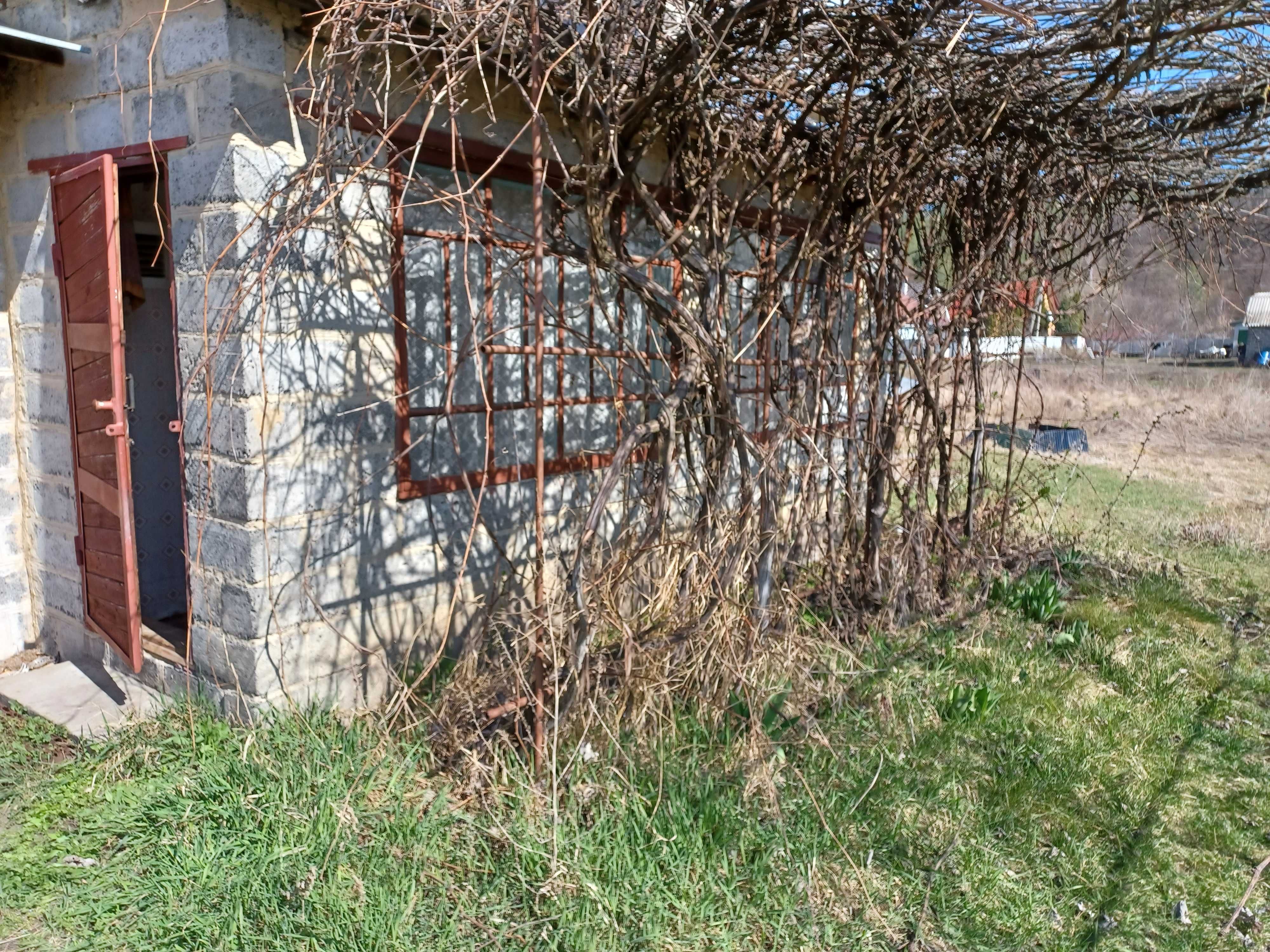 Продажа участка 26 сот с домиком
