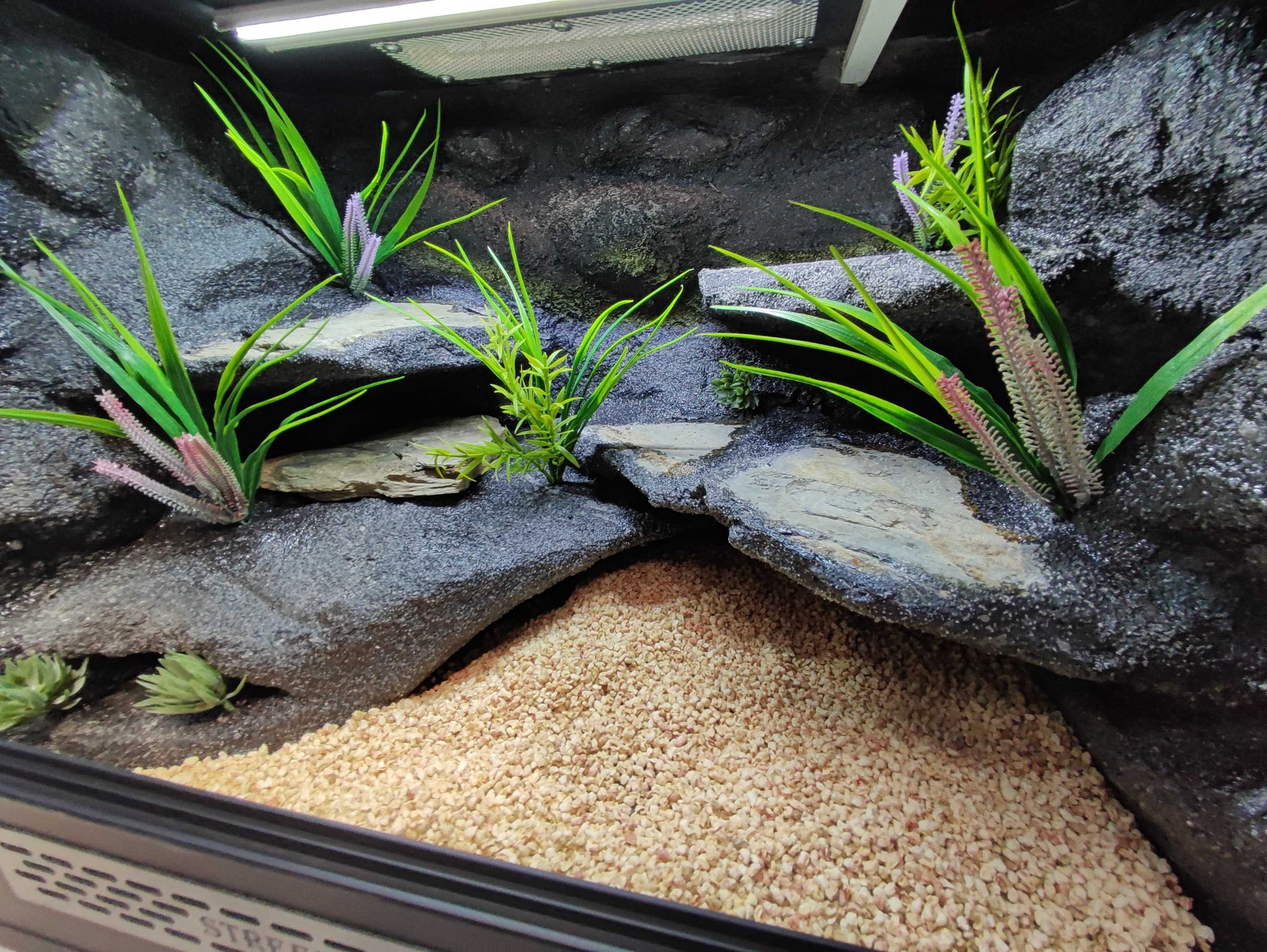 Terrarium pustynne nr748 60/40/40 dla gekona lamparciego DOSTĘPNE