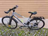 Bicicleta Riverside 900