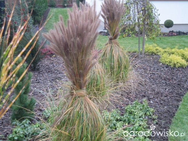 Ogrodnik ,sprzątanie i przygotowywanie ogrodów do zimy