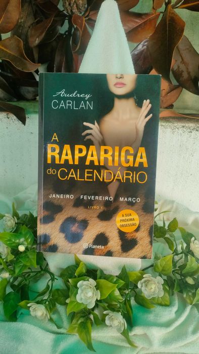 A Rapariga do Calendário  de Audrey Carlan