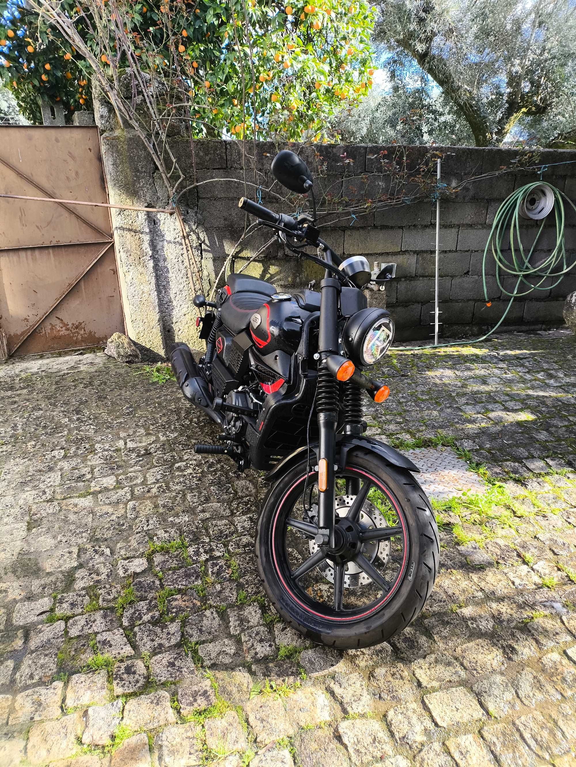 UM renegade Vegas 125