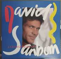 Продам виниловую пластинку David Sanborn – A Change Of Heart.