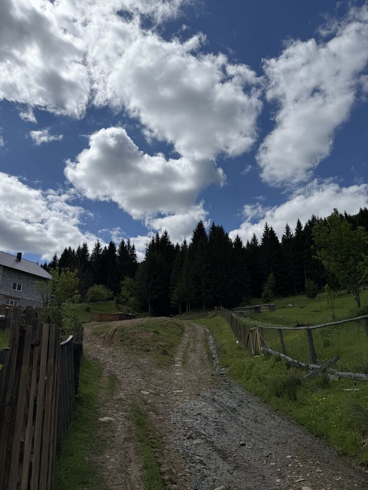 Продається ділянка с. Колочава біля музею Старе село