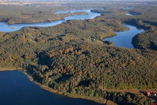Uroczy domek w sercu lasu nad jeziorem Partęczyny, Warmia - Mazury