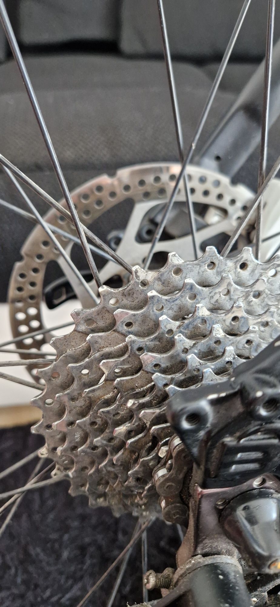 Bergamont Helix 8.1