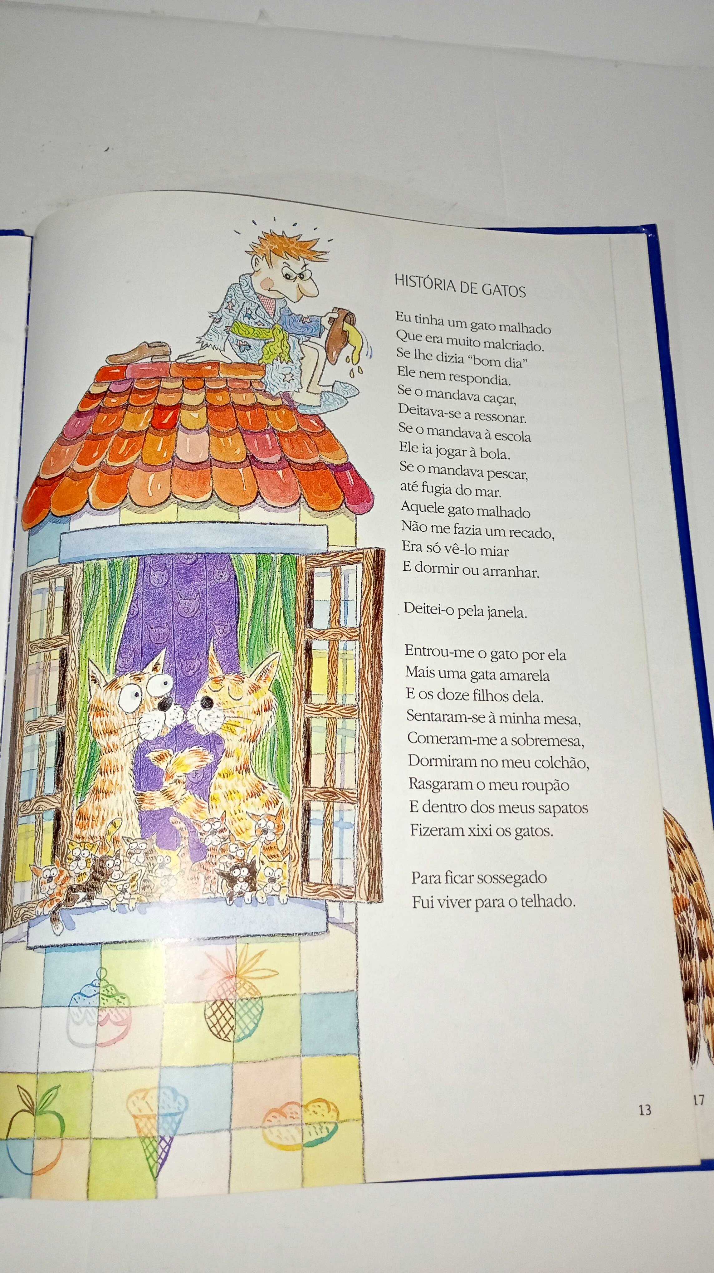 Arca de Noé - Luísa Ducla Soares