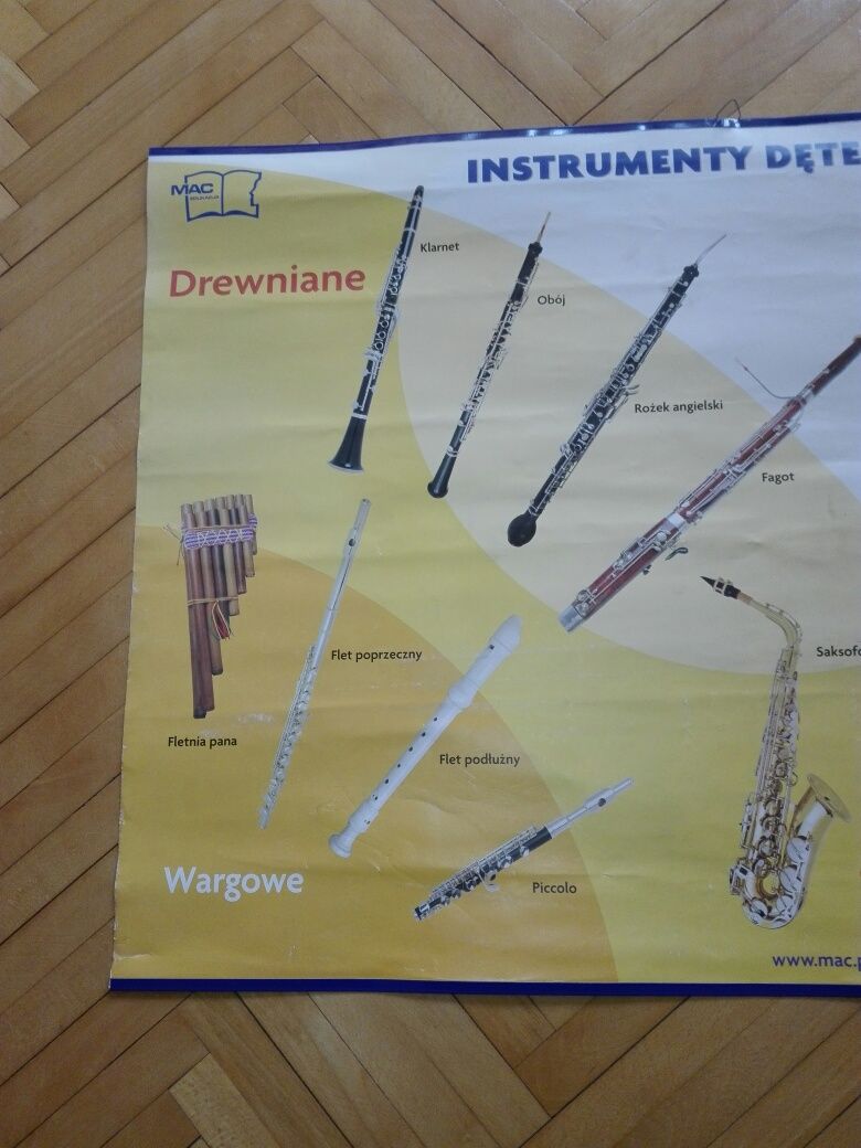 Tablica dwustronna "Instrumenty strunowe", "Instrumenty dęte"