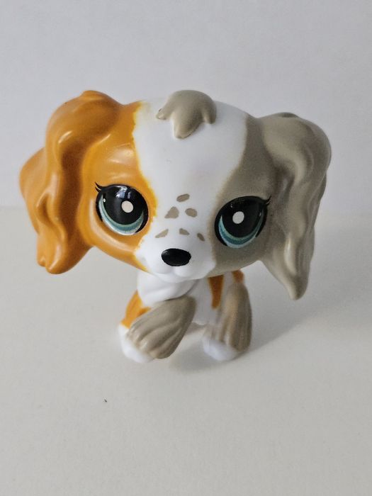 Cocker spaniel  LPS