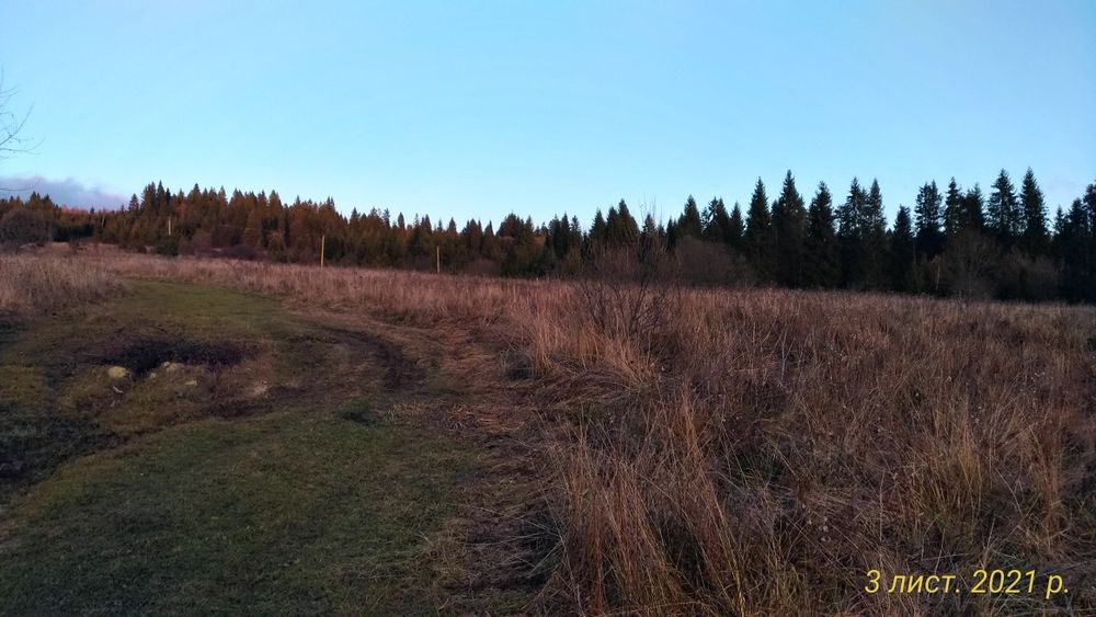 Земельна ділянка 1Га.