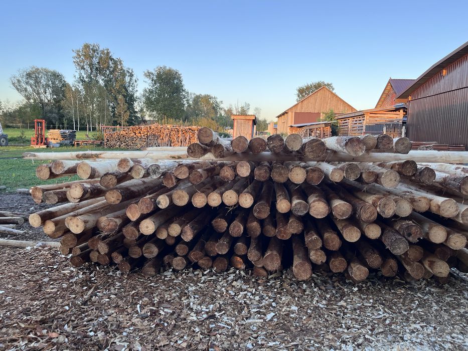 Kolki wolnostojace do drzewek 3 metrowe