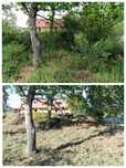 Limpeza de terrenos