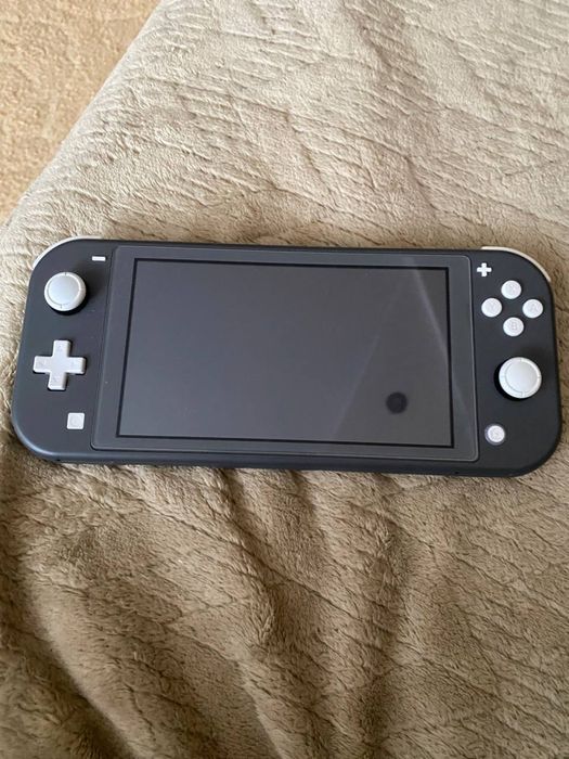 Nintendo swich lite kefir