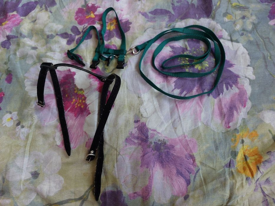 Zestaw dla kota nowe szelki ze smyczą dla kota plus duże szelki
