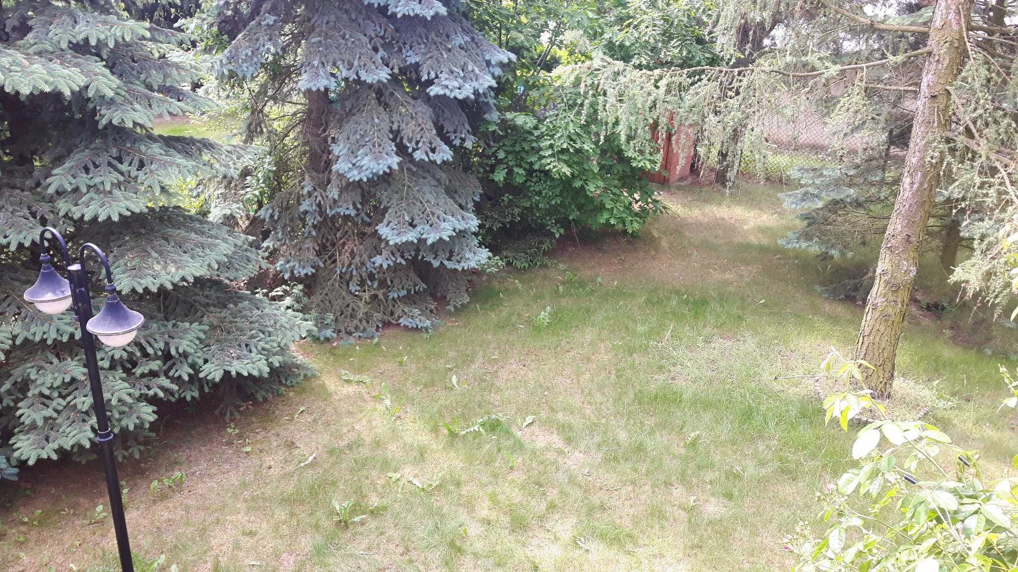 SEZON25-Samodzielny dom z ogrodzoną działką nad jeziorem Szczytnowskim
