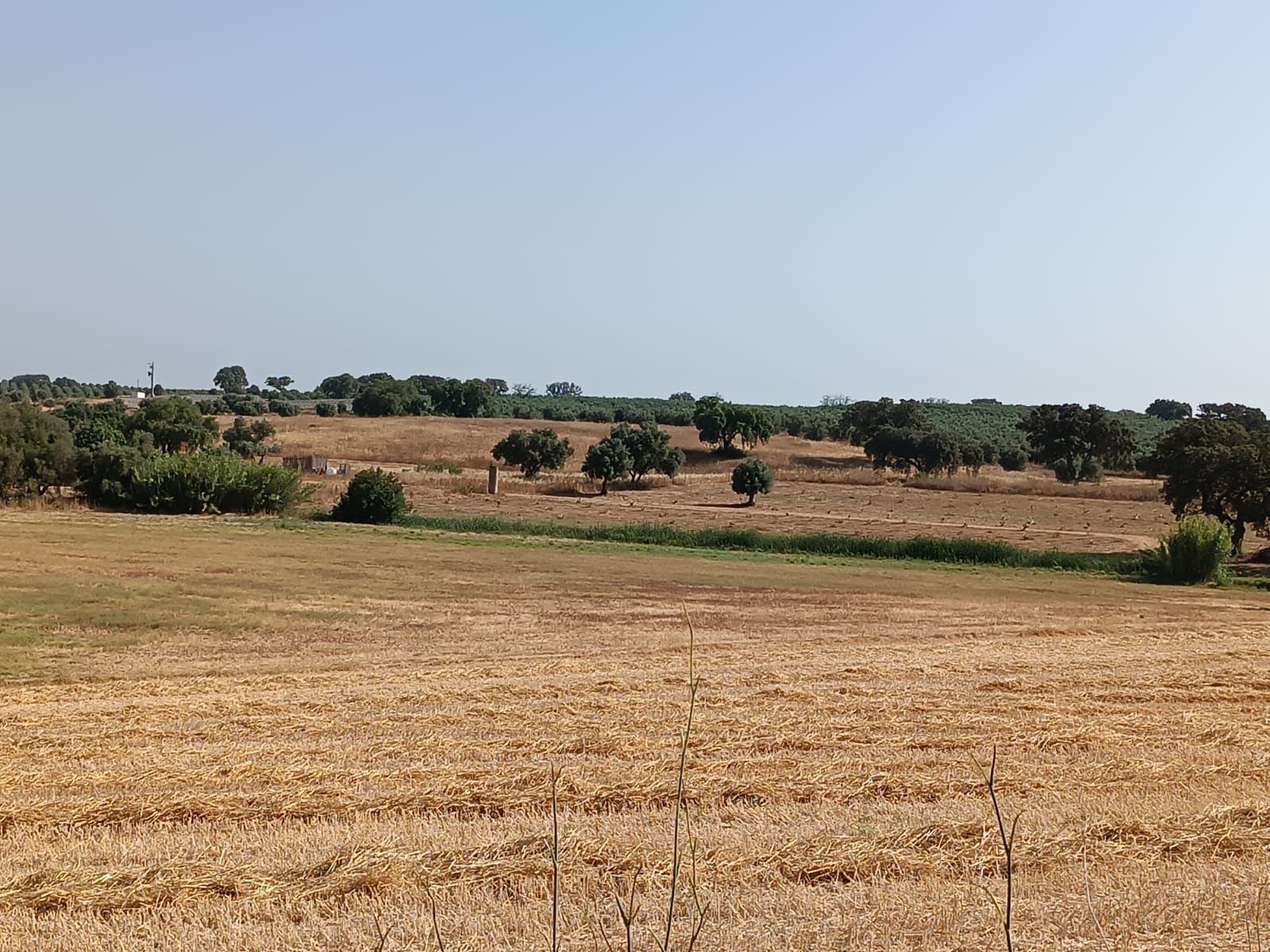Herdade de 27 hectares