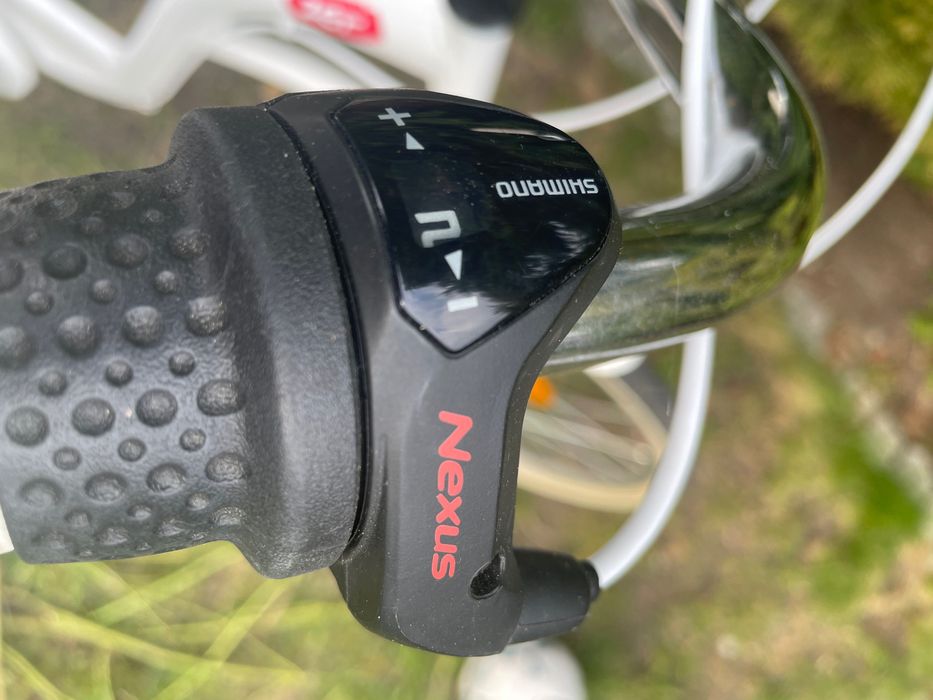 Rower Dallas Radio Zet