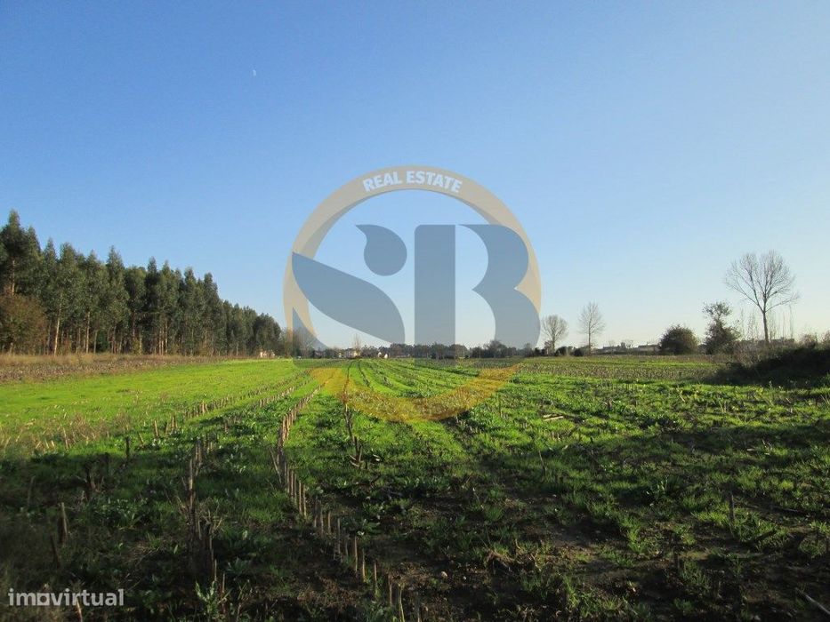Terreno nos arredores de Ovar