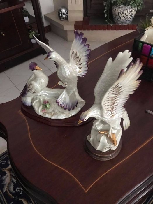 Pombas para em loiça