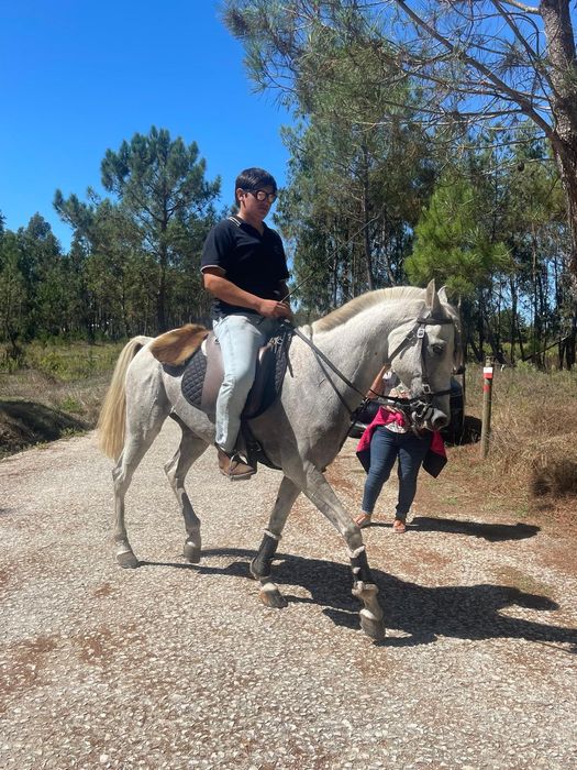 Vendo ou troco Égua  montada