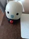 Kask  Scoot and ride