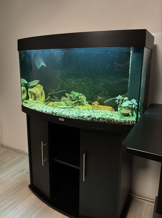 Akwarium Juwel Vision 180l