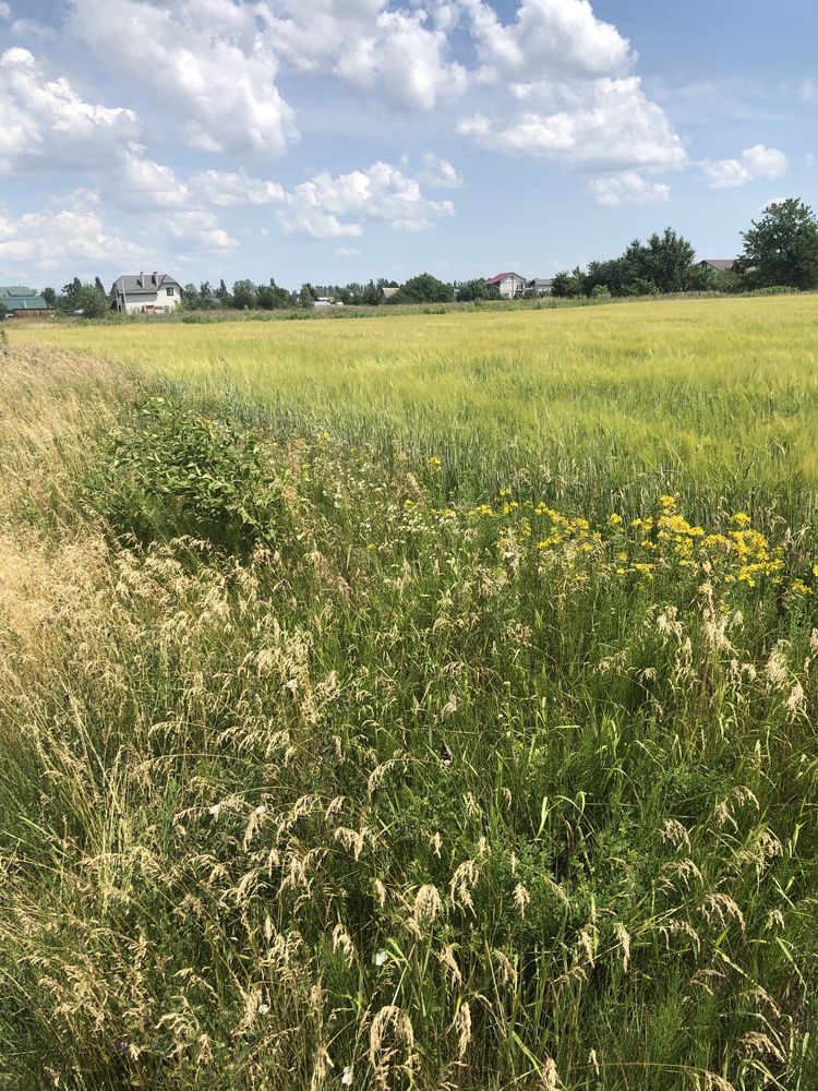 Ділянка під забудову село Рогозів