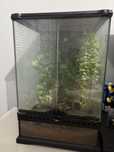 Terrarium Exo-terra 30x30x45