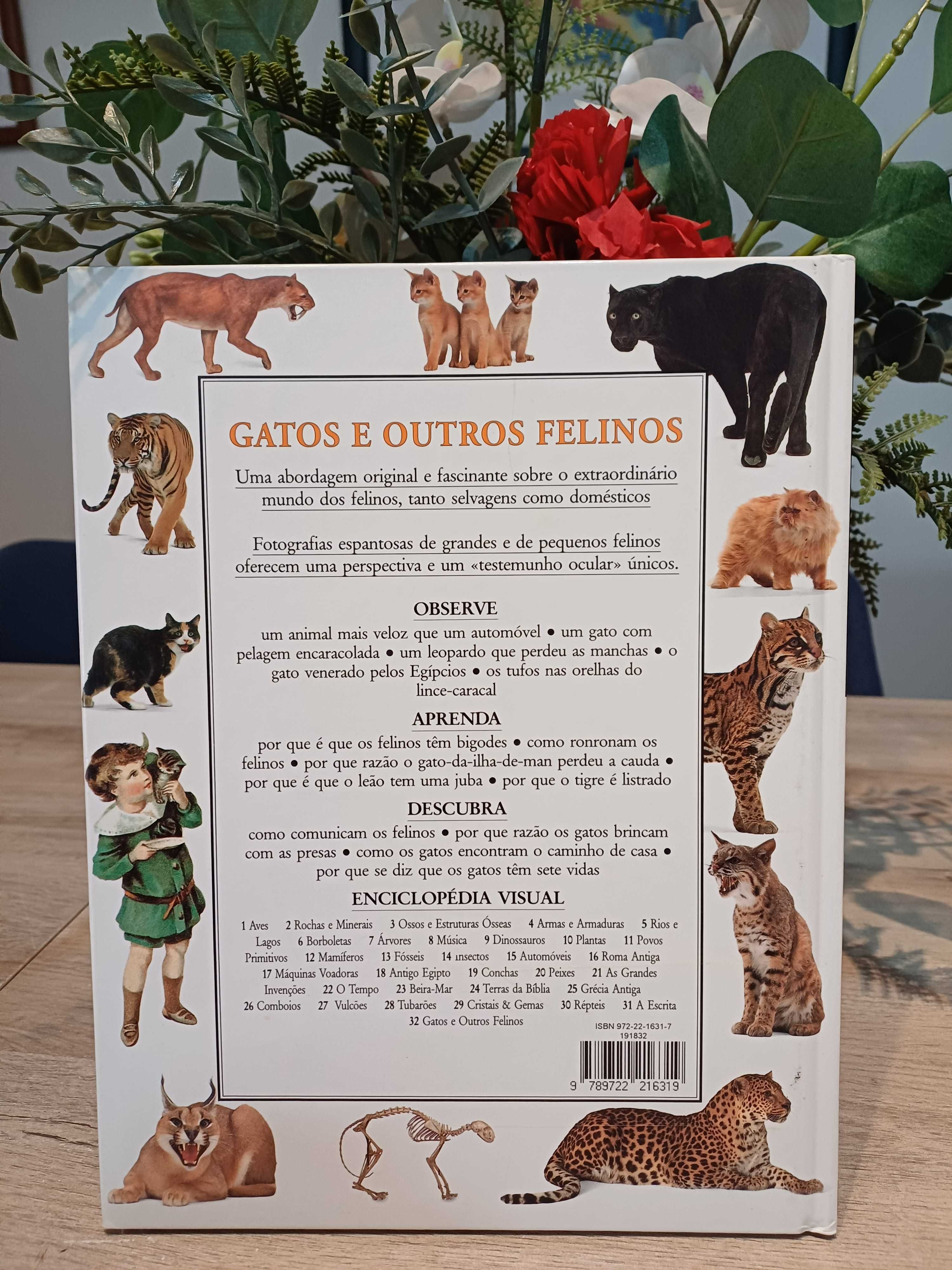 Enciclopédia Visual - Gatos e Outros Felinos