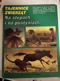 TAJEMNICE ZWIERZĄT książka dla dzieci