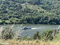 Vende-se quinta com vista paradisíaca para o Rio Douro