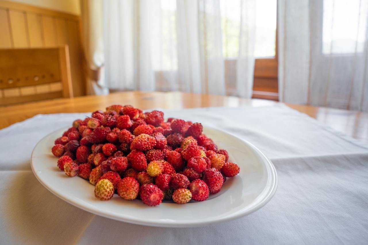 Продається готель у серці Карпат зі СПА та критим басейном