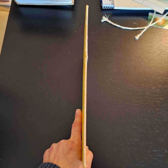 Coleção Videorama - 1 - A Primeira Viagem de Howard Flynn