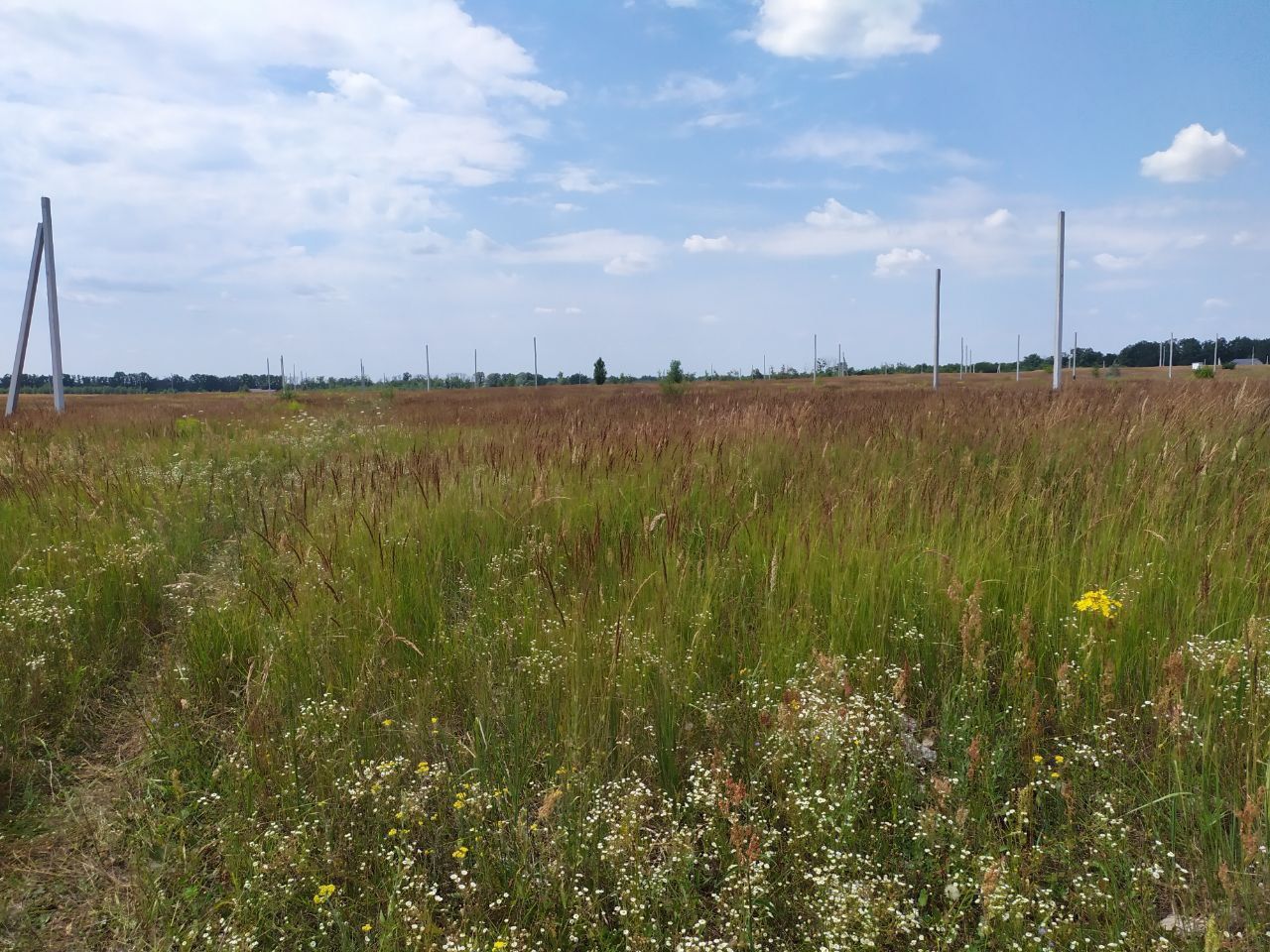 Продам земельну ділянку від власника 
Земельна ділянка  для  будівни