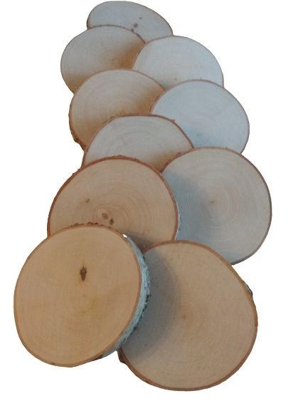 Plastry brzozowe krążki drewna szlifowane średnica ok 11-12 cm