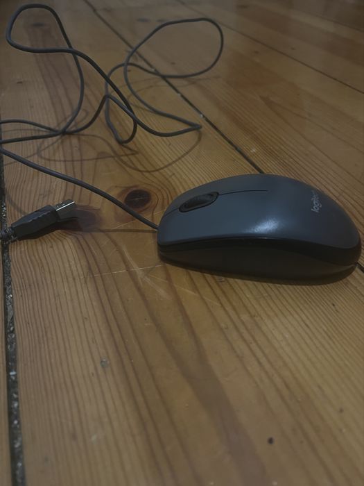 Rato para computador