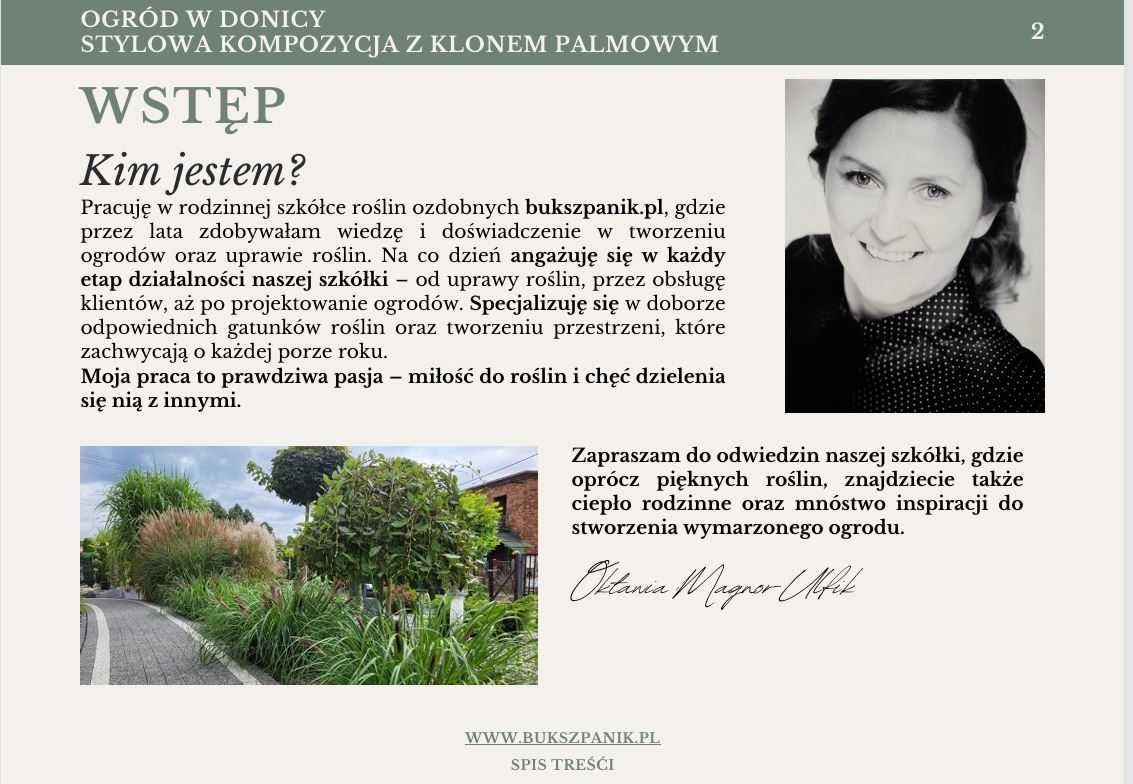 Gotowy projekt rabaty - rabata z Klonem palmowym