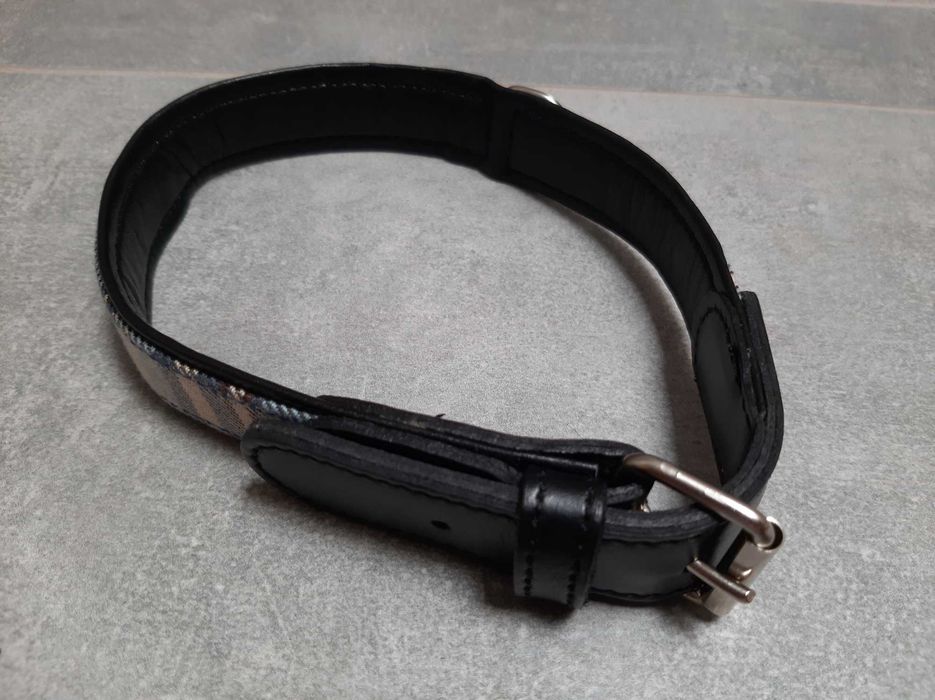 Obroża na średniego psa, długość 48.5 cm