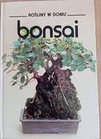 "Bonsai" rośliny w domu