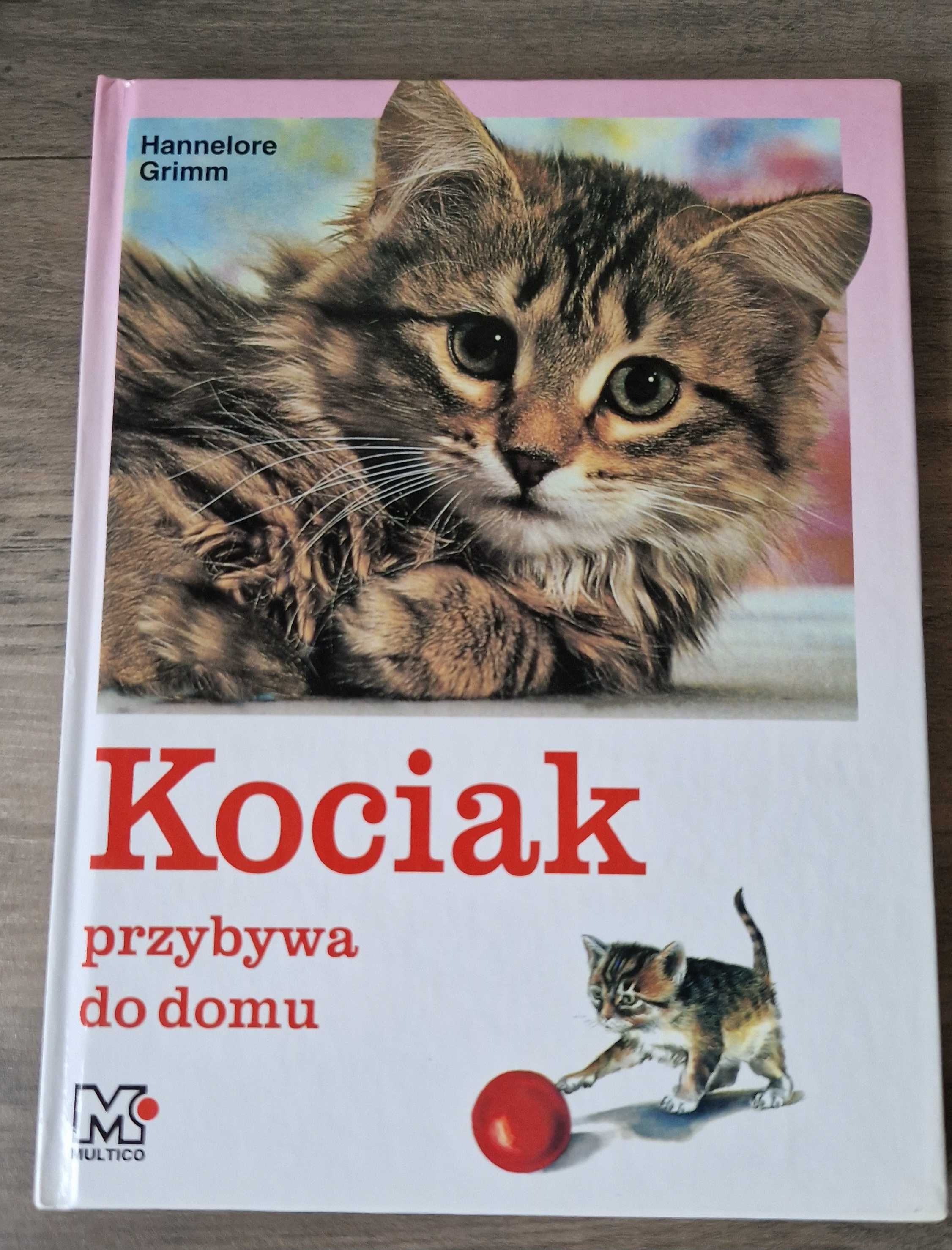 Kociak przybywa do domu Hannelore Grimm stan bdb
