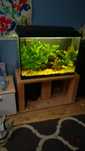 Akwarium 120l + stolik