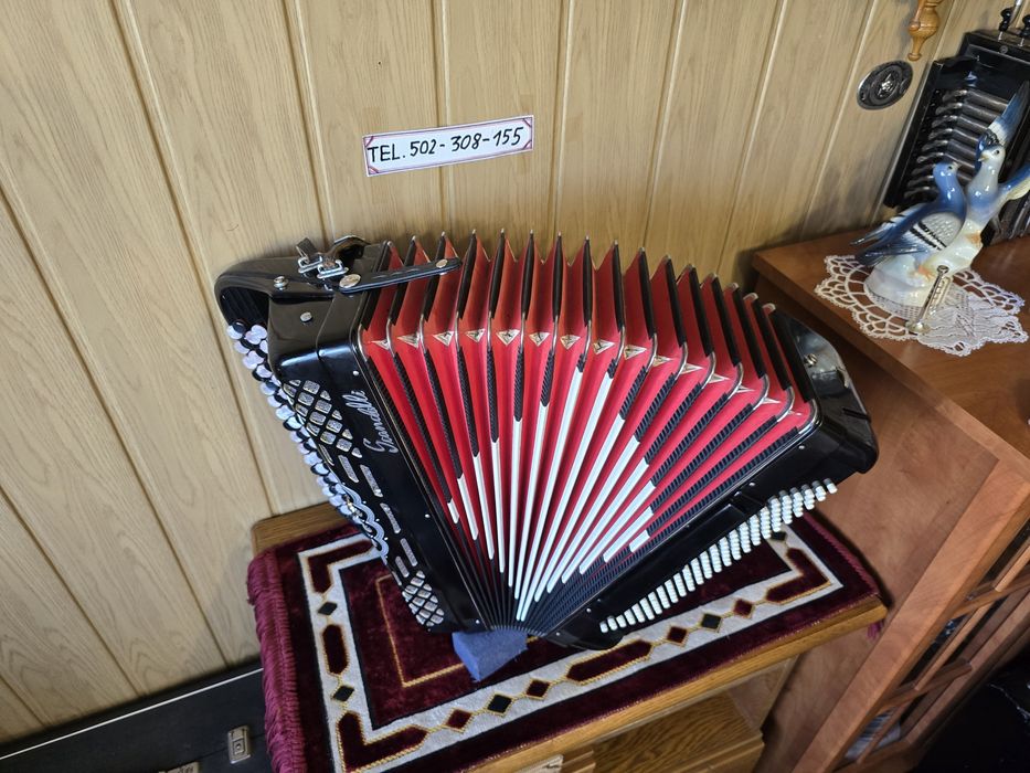 Akordeon Guzikowych Scandali 120bas trzy chóry gryf B