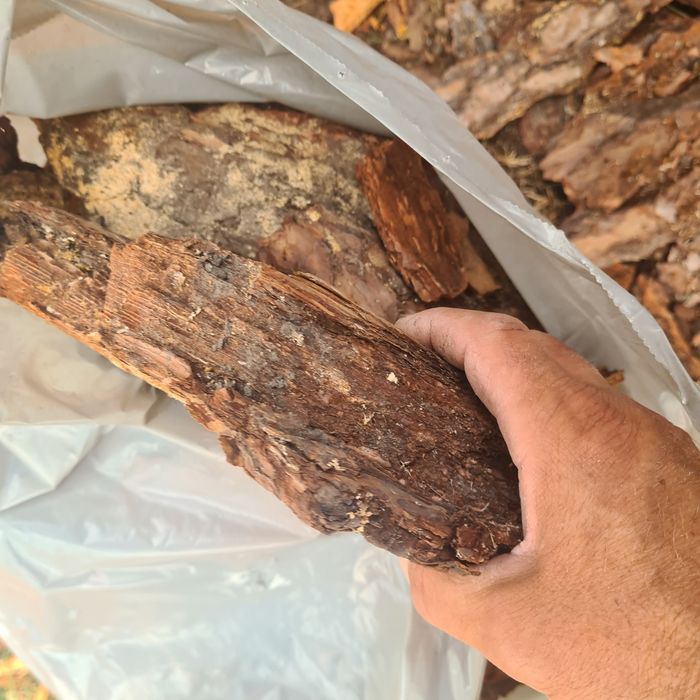 Kora sosnowa gruba frakcja 60 l