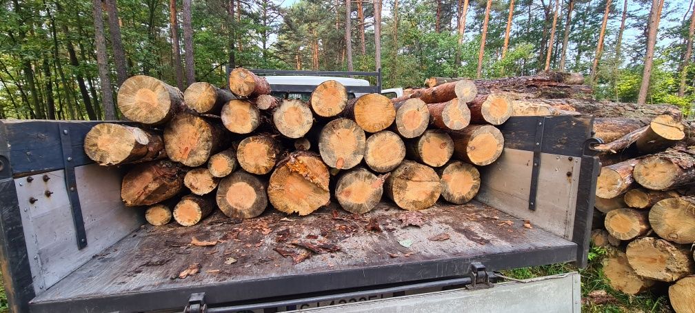 Drewno drzewo opał opałowe kominkowe  klocki sosna brzoza buk dąb